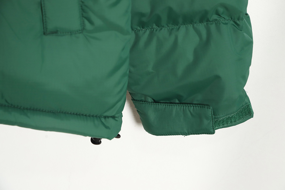 The North Face 1996 Nuptse classic down jacket