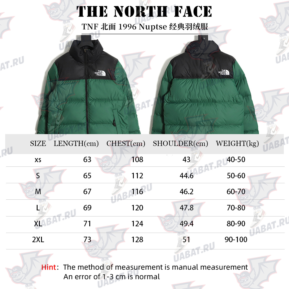 The North Face 1996 Nuptse classic down jacket