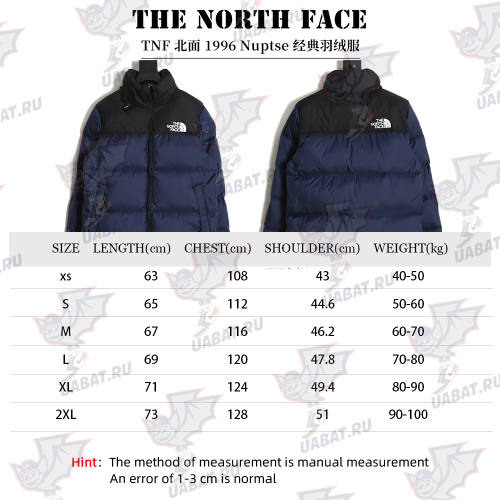 The North Face 1996 Nuptse classic down jacket