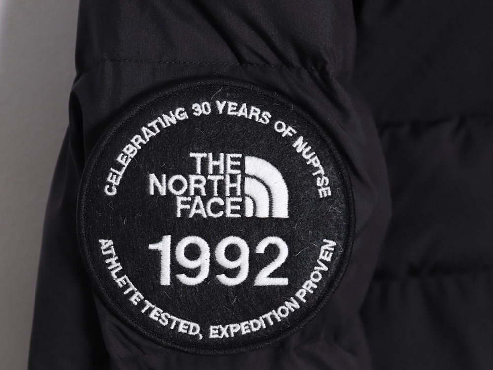 The North Face 23SS 1992 Armband 30th Anniversary Limited Edition Korean Down Jacket