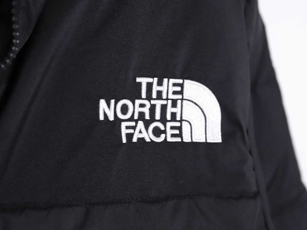 The North Face 23SS 1992 Armband 30th Anniversary Limited Edition Korean Down Jacket