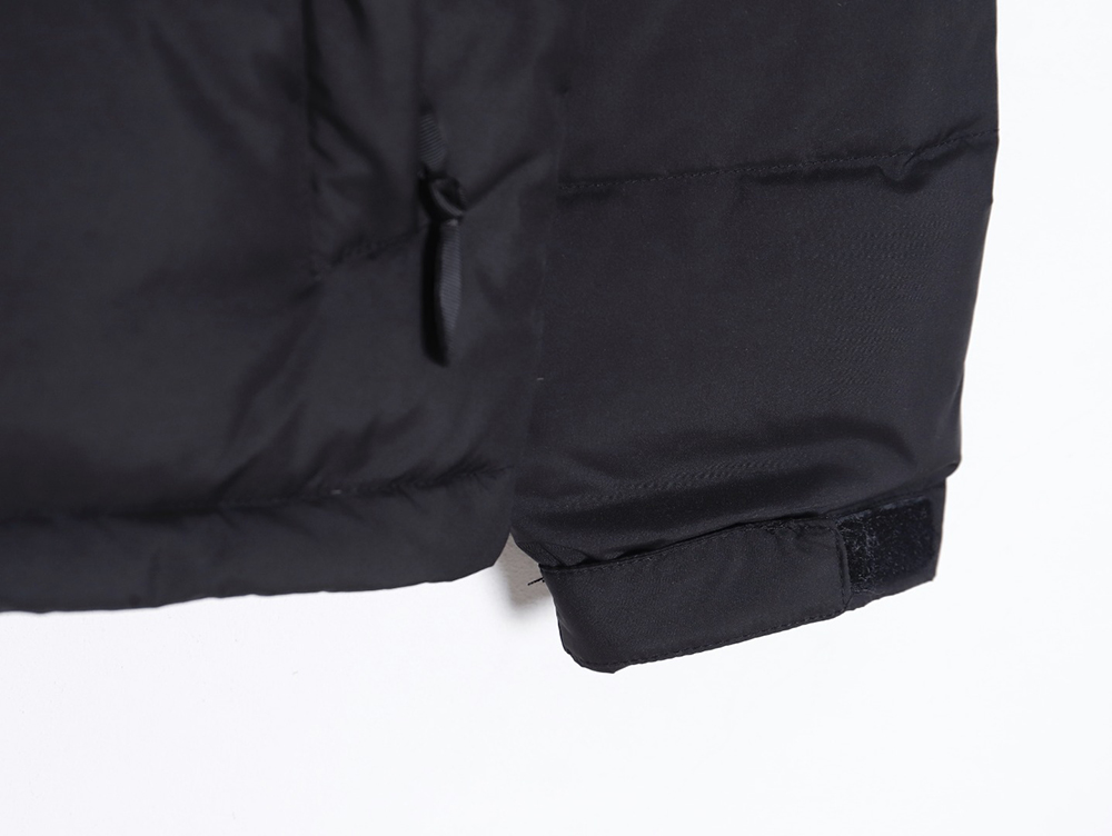 The North Face 23SS 1992 Armband 30th Anniversary Limited Edition Korean Down Jacket
