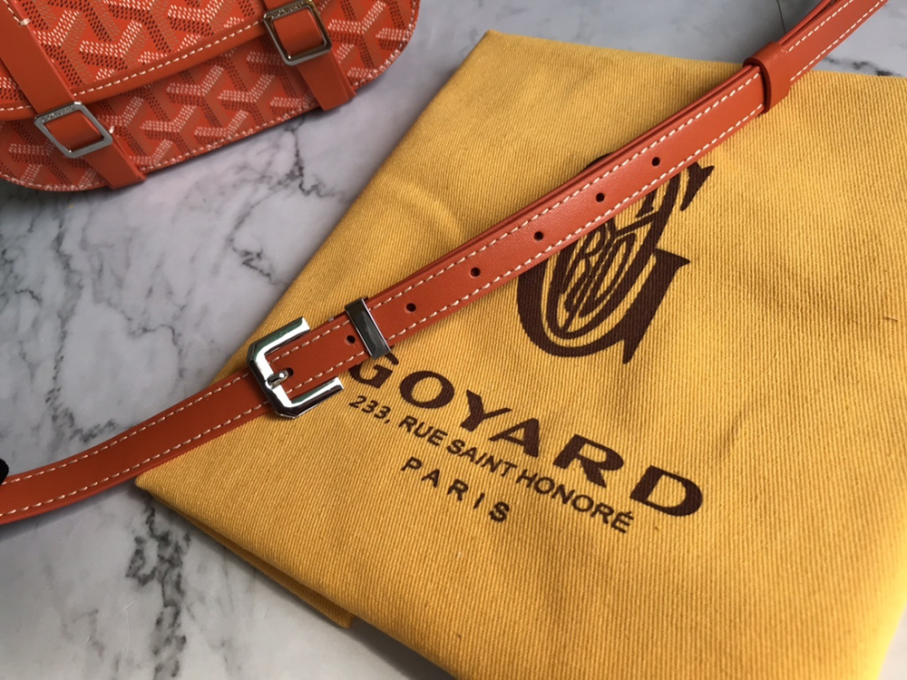 Goyard Bags 098049 21.5*13.5*9cm