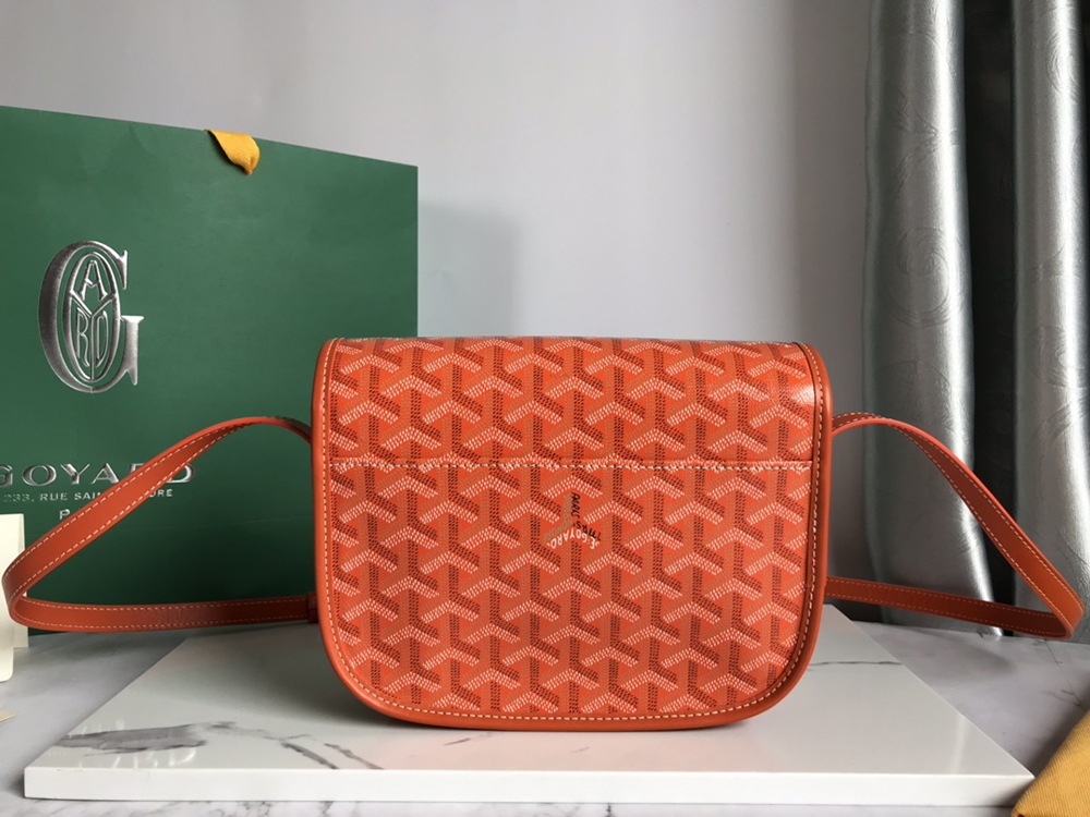 Goyard Bags 098049 21.5*13.5*9cm