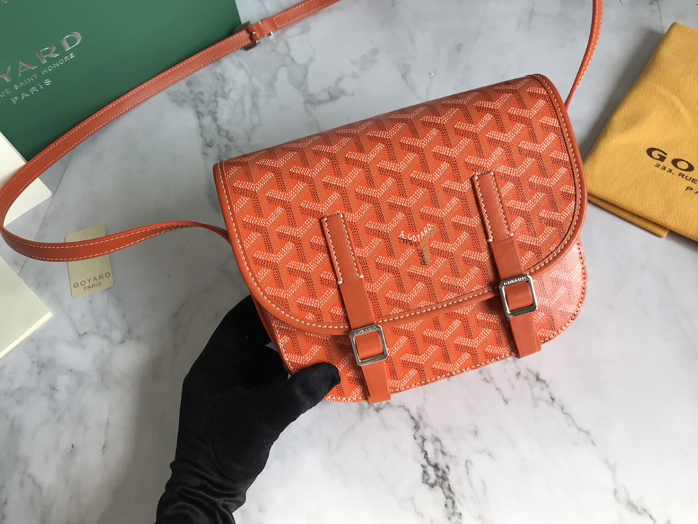 Goyard Bags 098049 21.5*13.5*9cm