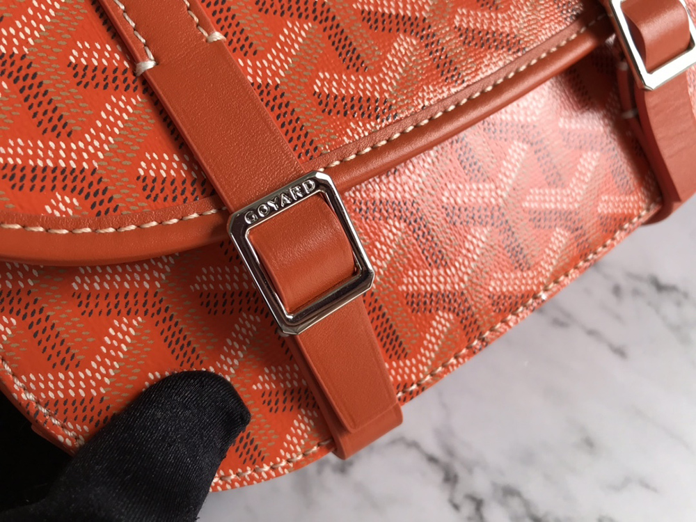 Goyard Bags 098049 21.5*13.5*9cm