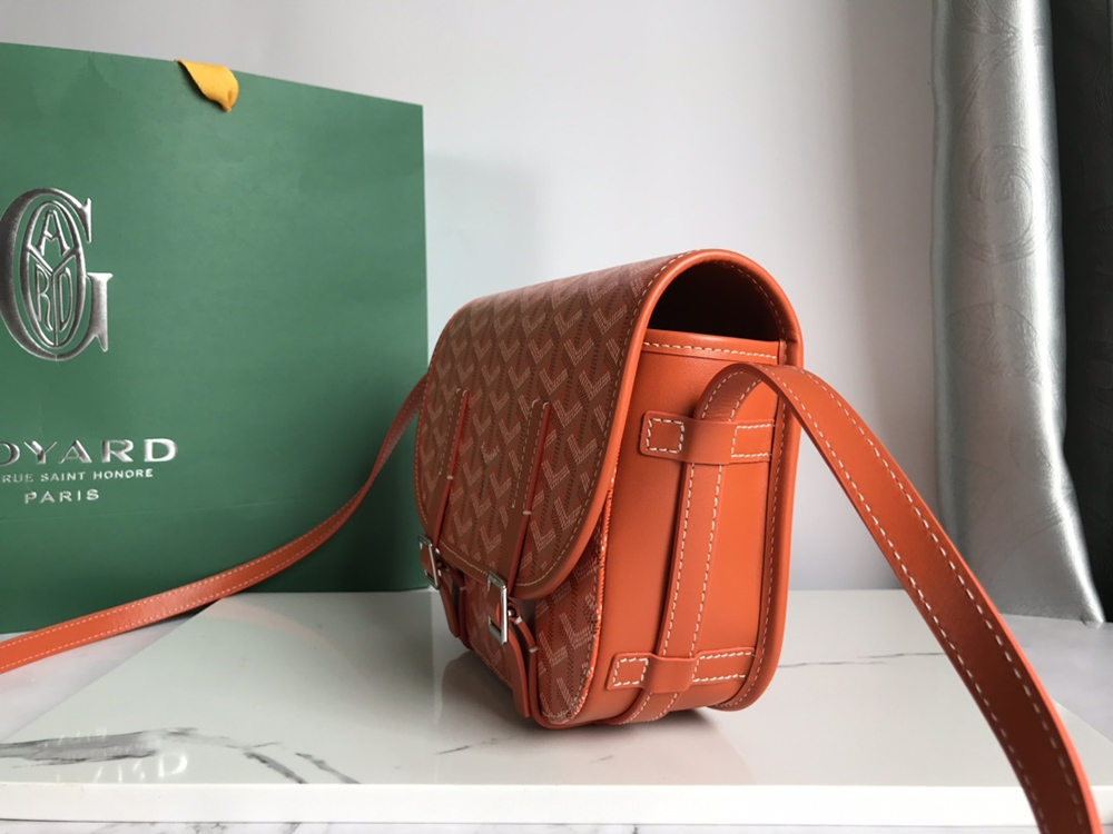 Goyard Bags 098049 21.5*13.5*9cm