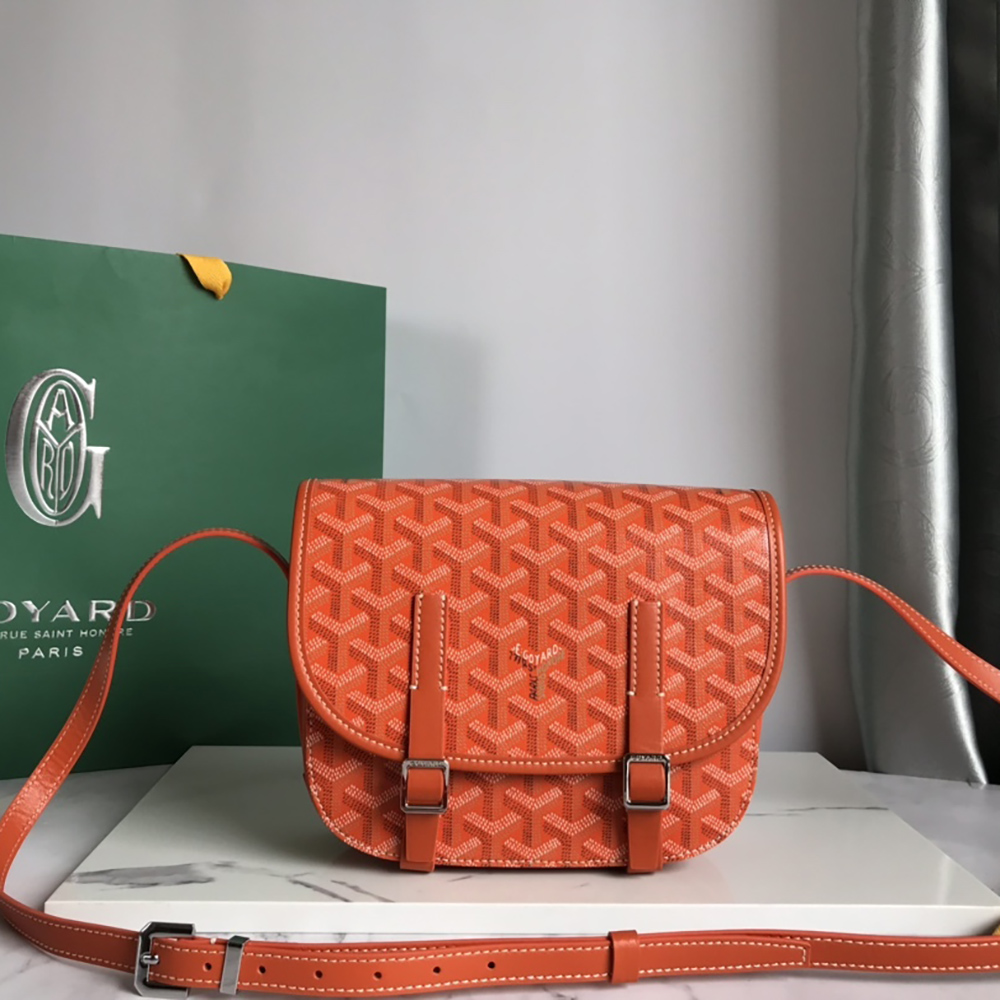 Goyard Bags 098049 21.5*13.5*9cm