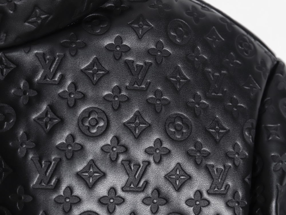 Louis Vuitton new patchwork embossed down jacket