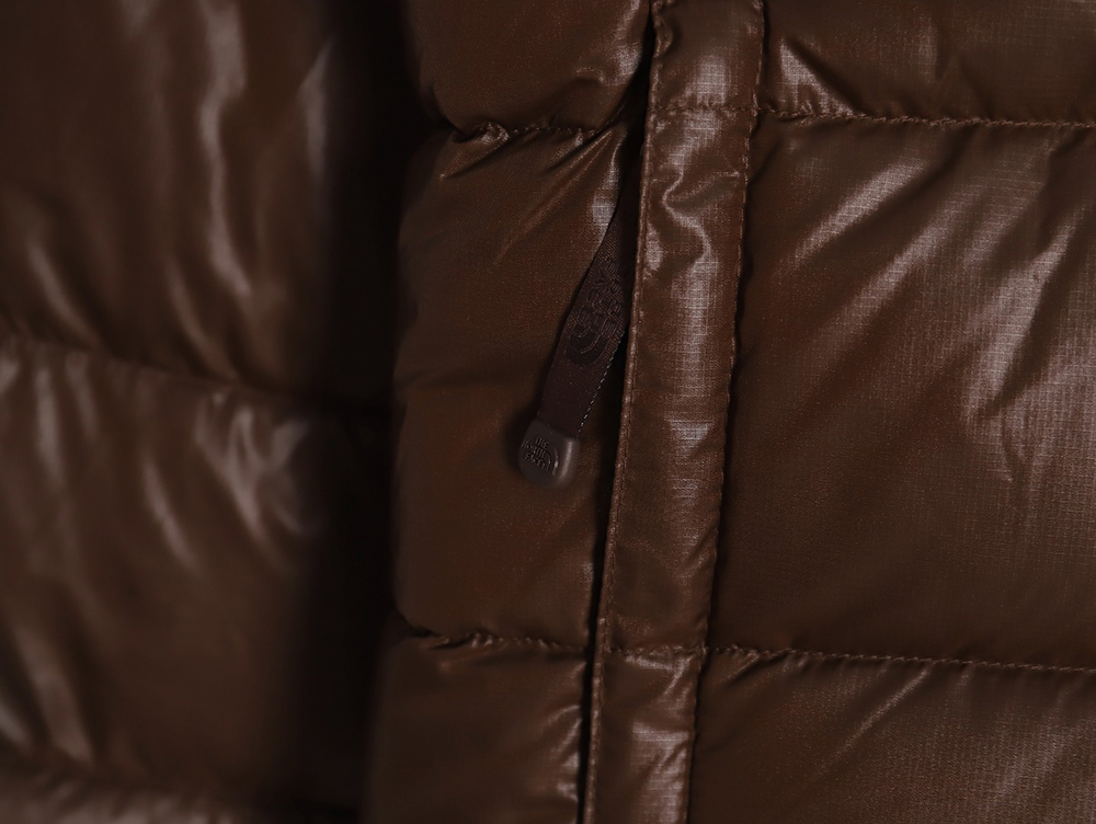 The North Face Limited Vintage Nuptse 1990`s retro down jacket