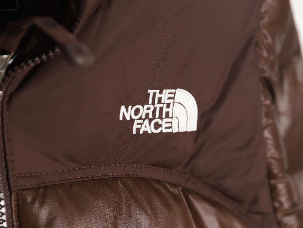 The North Face Limited Vintage Nuptse 1990`s retro down jacket