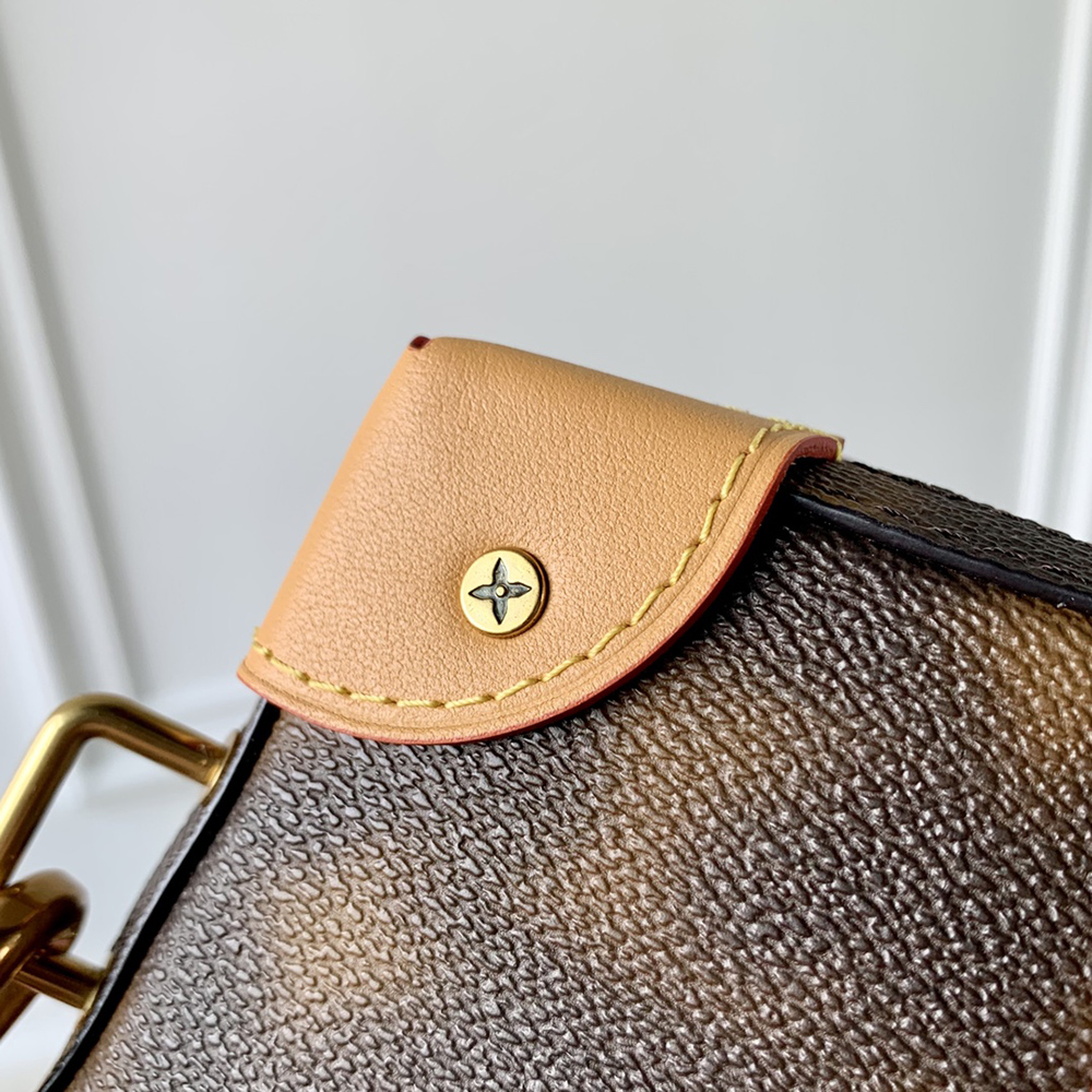 Louis Vuitton Bags M81580 22.5*14*5cm