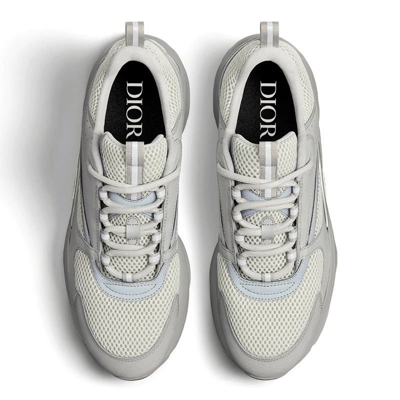 Dior B22 