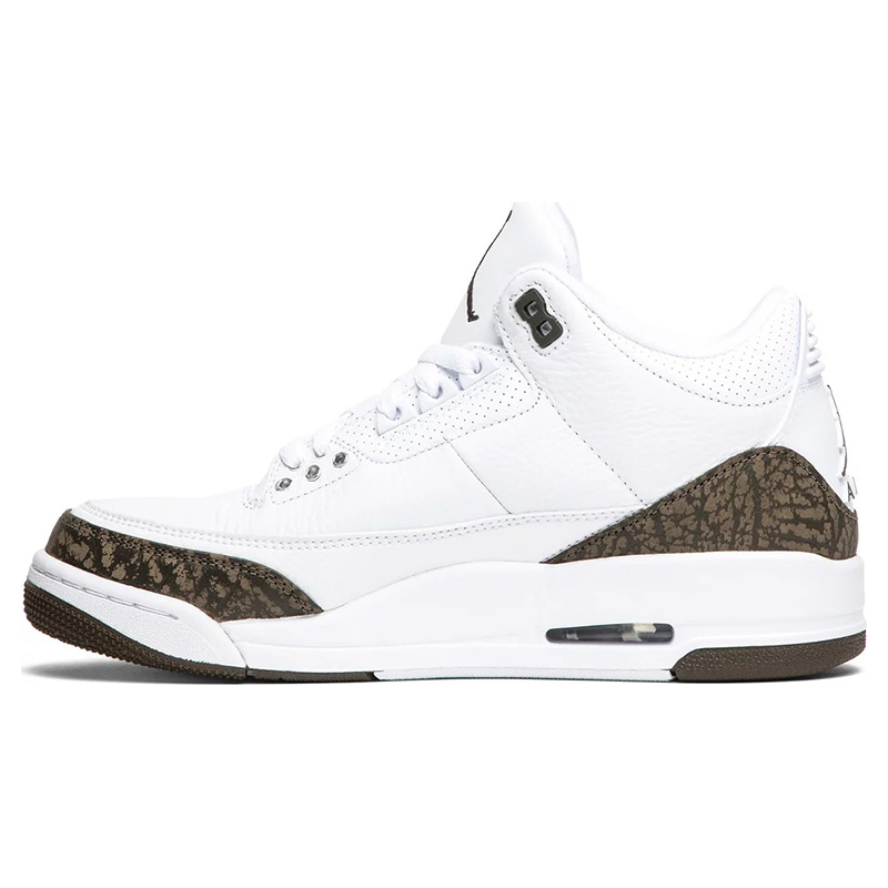 Air Jordan 3 Retro