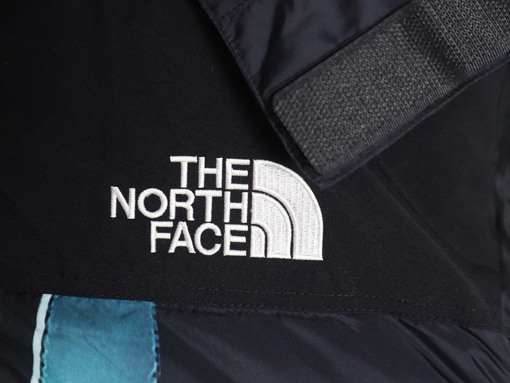 The North Face x Supreme joint Statue of Liberty down jacket