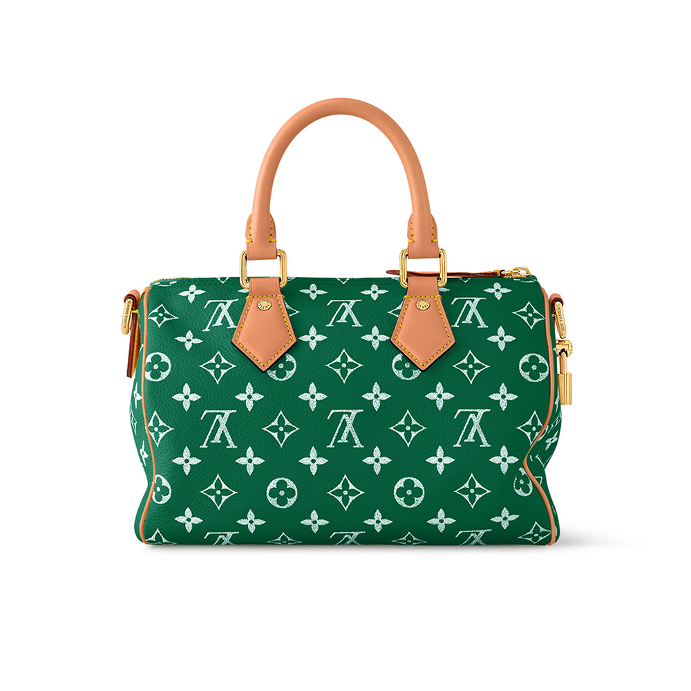 Louis Vuitton Bags M24423 25*15*15cm