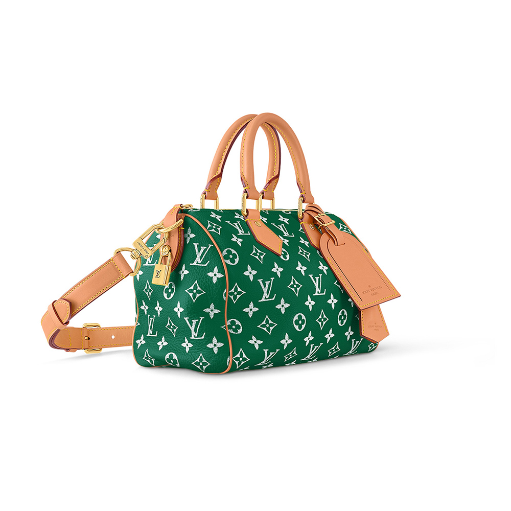 Louis Vuitton Bags M24423 25*15*15cm