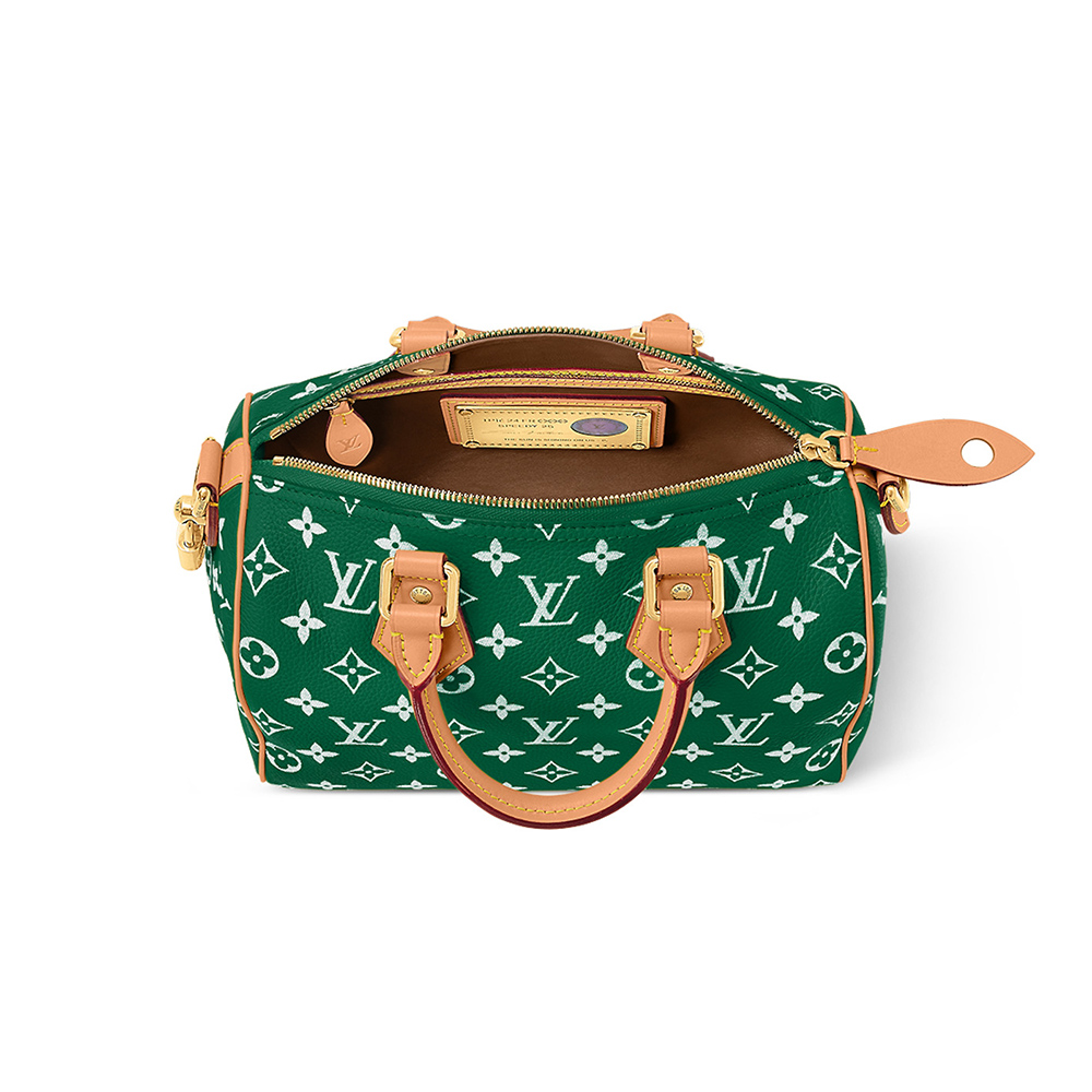 Louis Vuitton Bags M24423 25*15*15cm