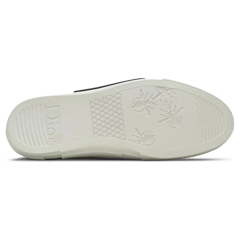 Dior B23 Low 