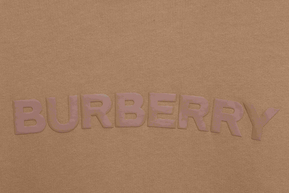 Burberry Basics Logo Lettering Hoodie