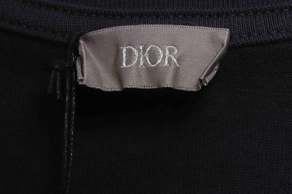 Dior Dragon Year Limited Embroidery Little Dinosaur Embroidered Short Sleeve