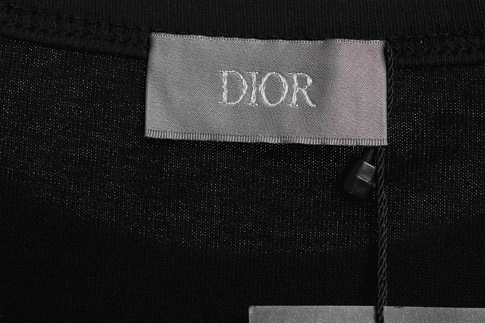 Dior colorful twill letter short sleeves CM1