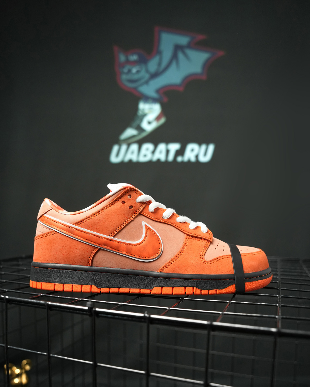 CONCEPTS X DUNK LOW SB 