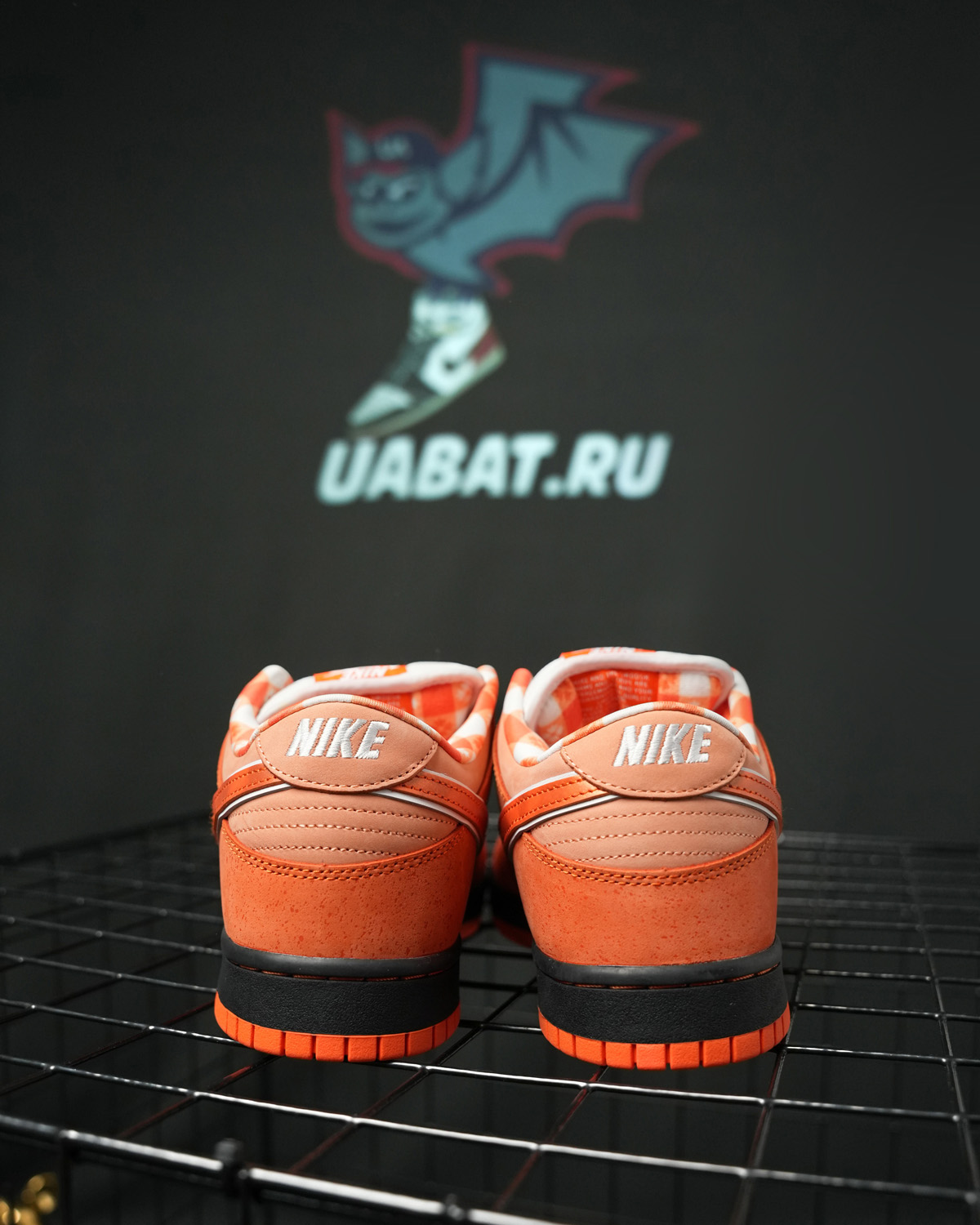 CONCEPTS X DUNK LOW SB 