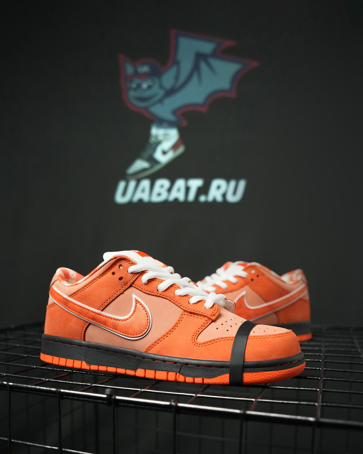 CONCEPTS X DUNK LOW SB 