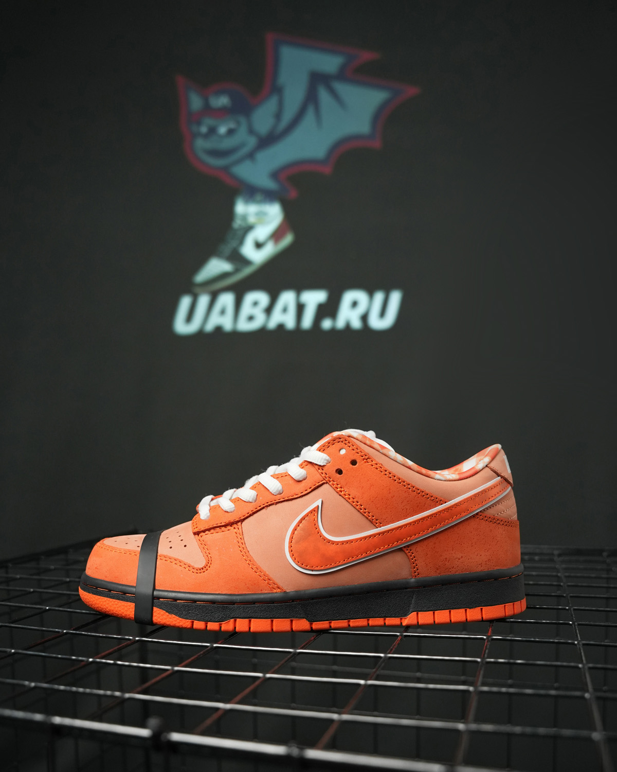 CONCEPTS X DUNK LOW SB 