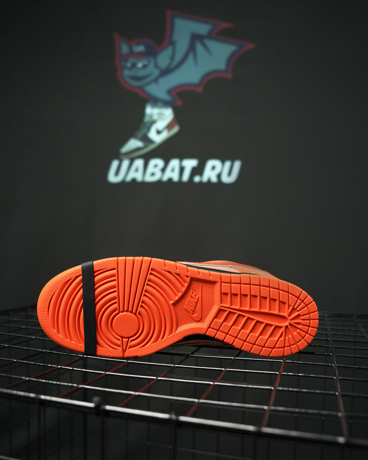 CONCEPTS X DUNK LOW SB 