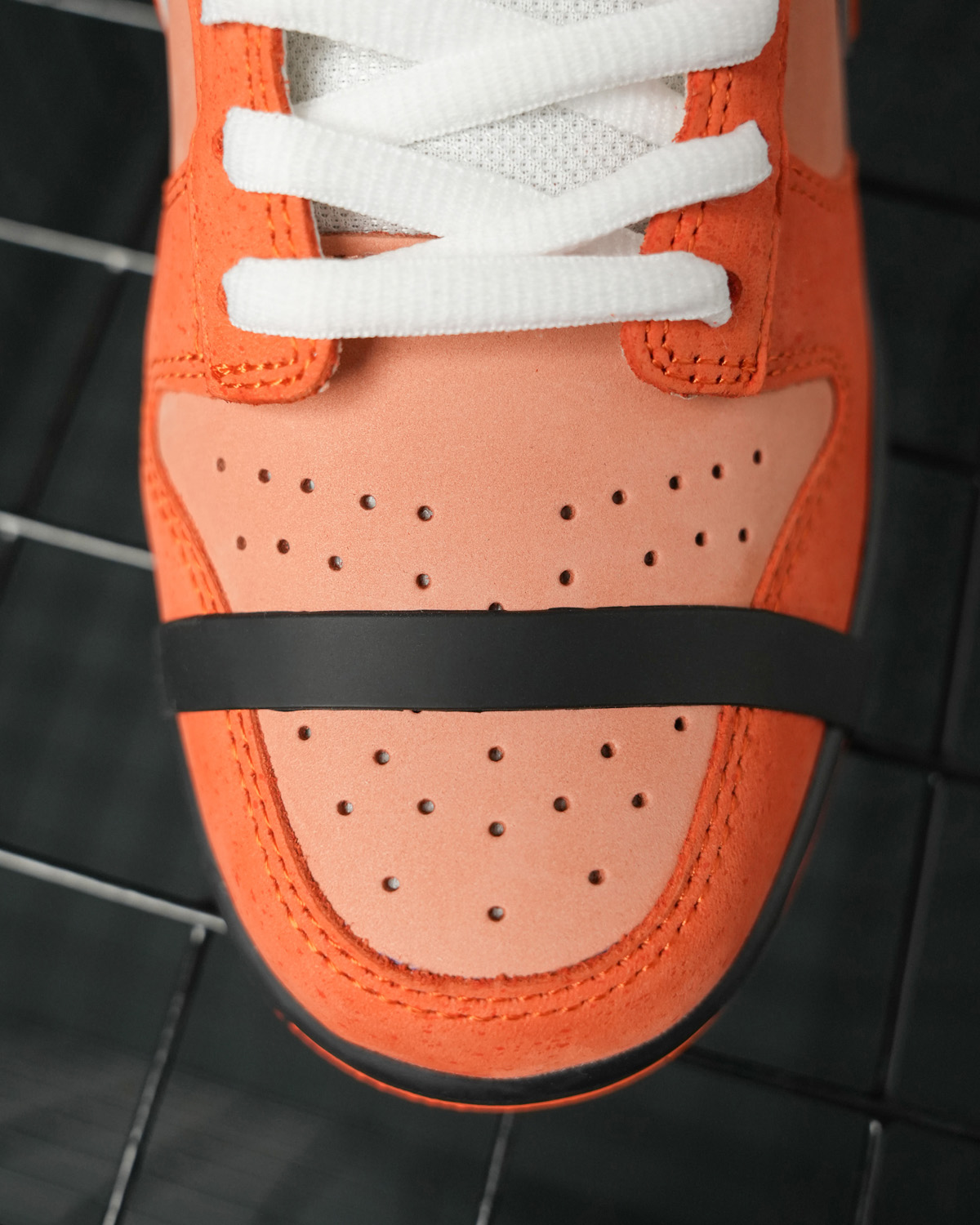 CONCEPTS X DUNK LOW SB 