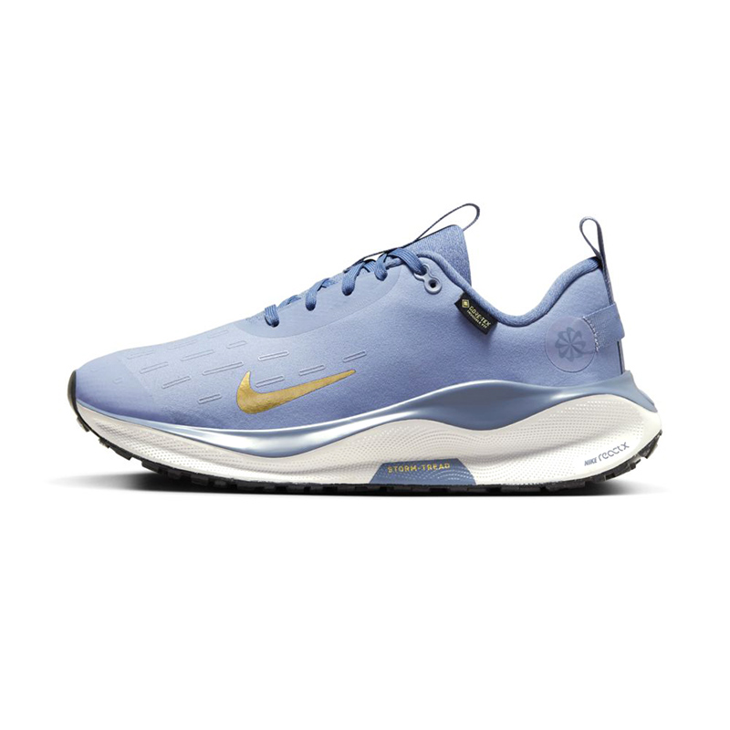 ReactX Infinity Run 4 GORE-TEX ''Ashen Slate Metallic Gold''