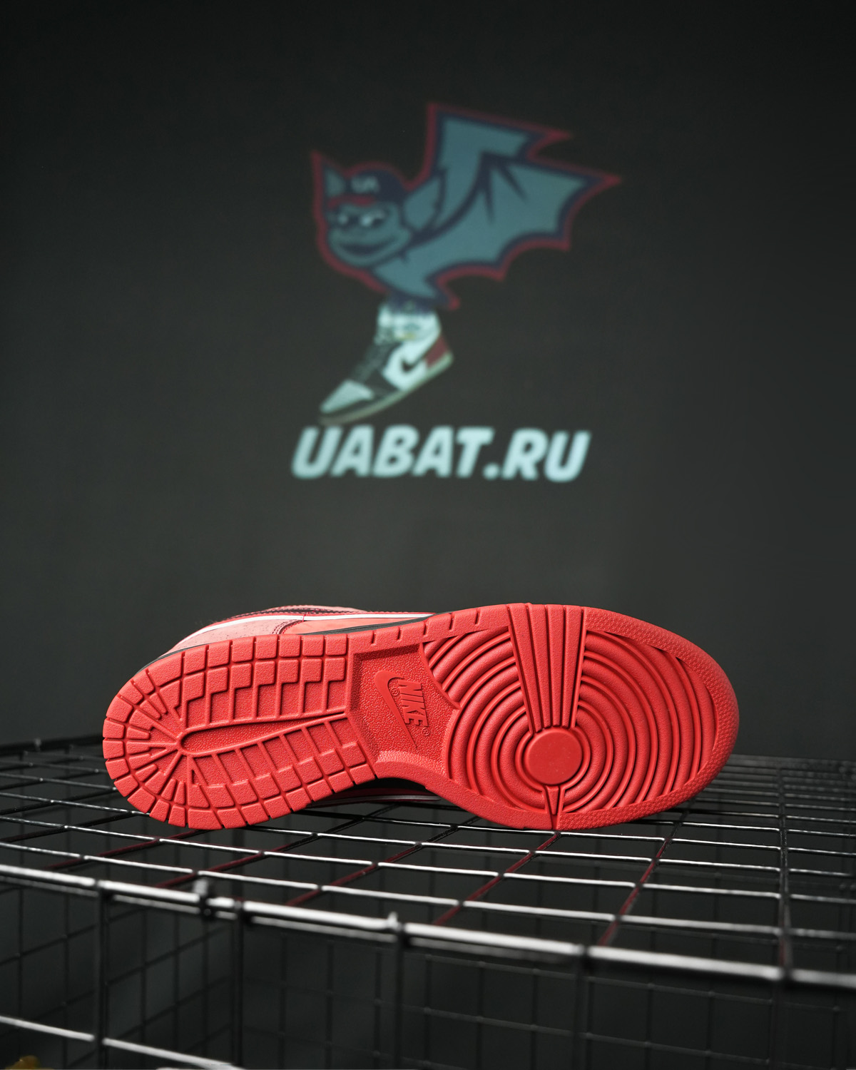 Dunk Low Premium SB