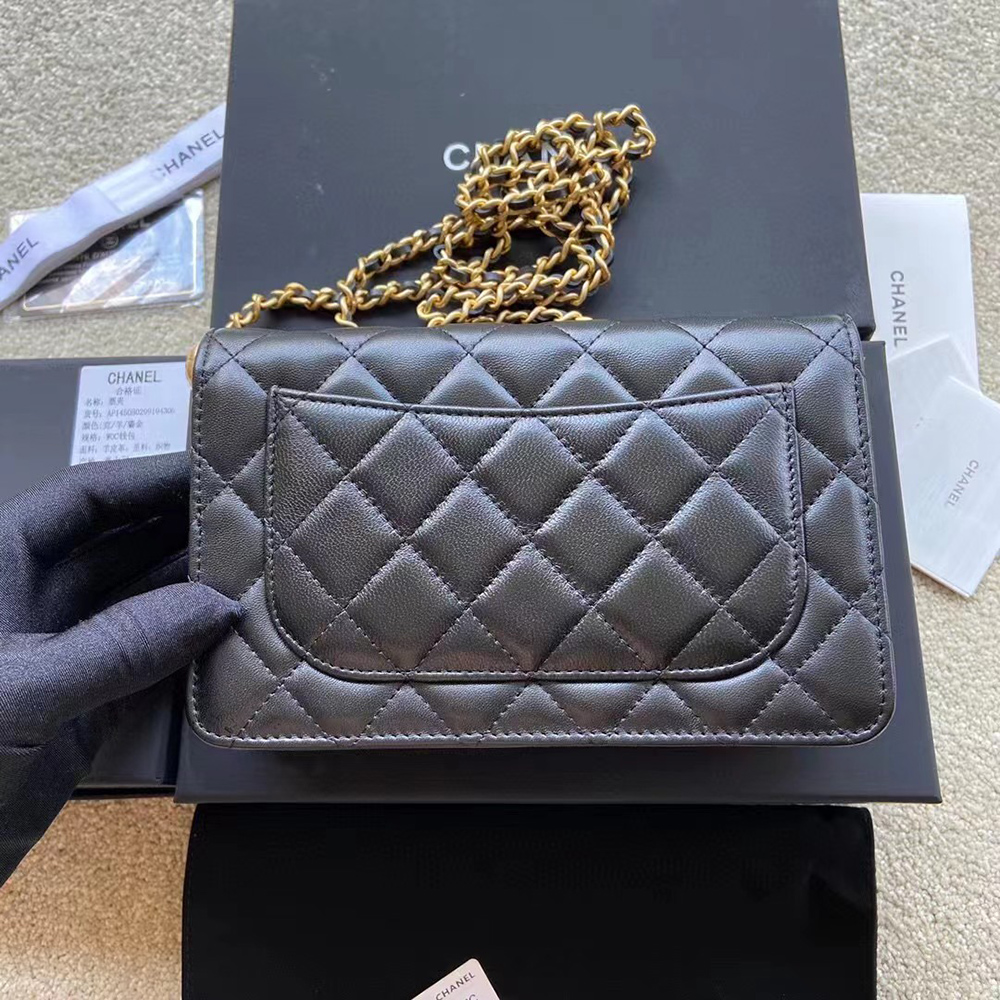 Chanel Bags Bags AP1450 19*13*4cm