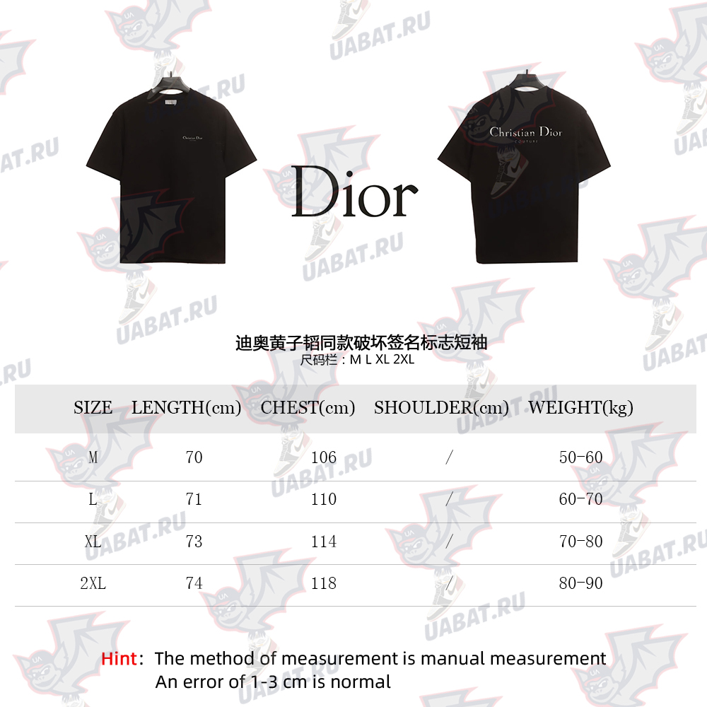 Dior Destruction Signature Logo Short Sleeve TSK1