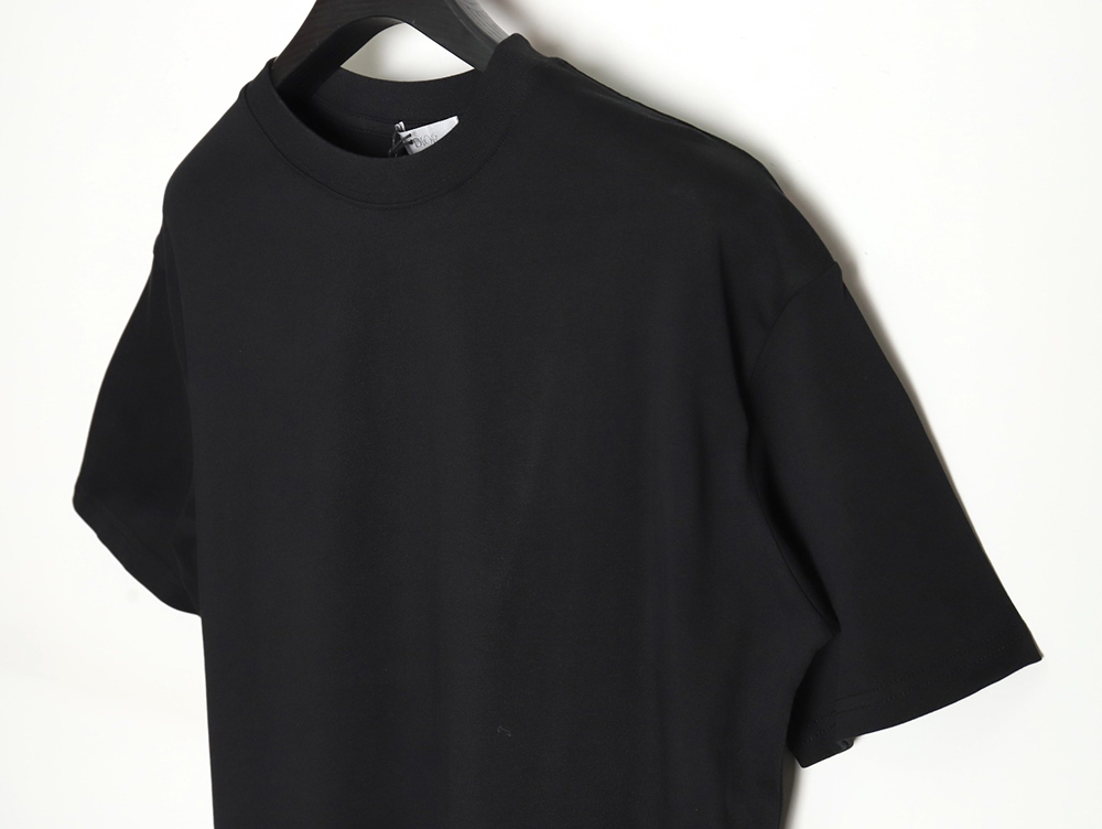 Dior 24SS back printed short sleeves TSK1