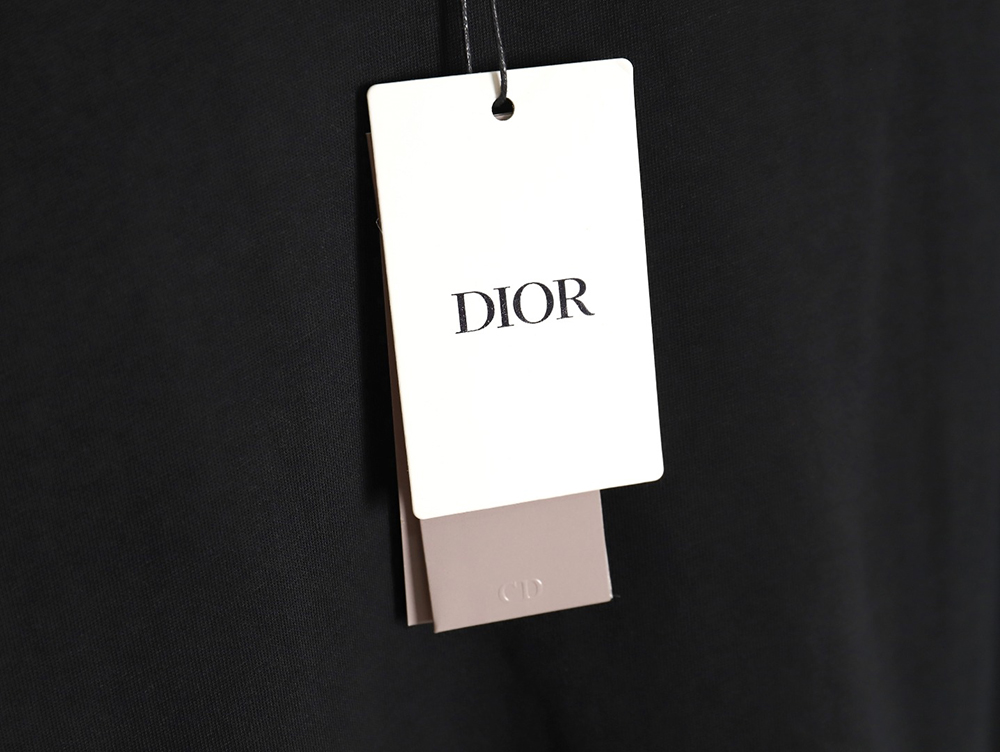 Dior 24SS back printed short sleeves TSK1