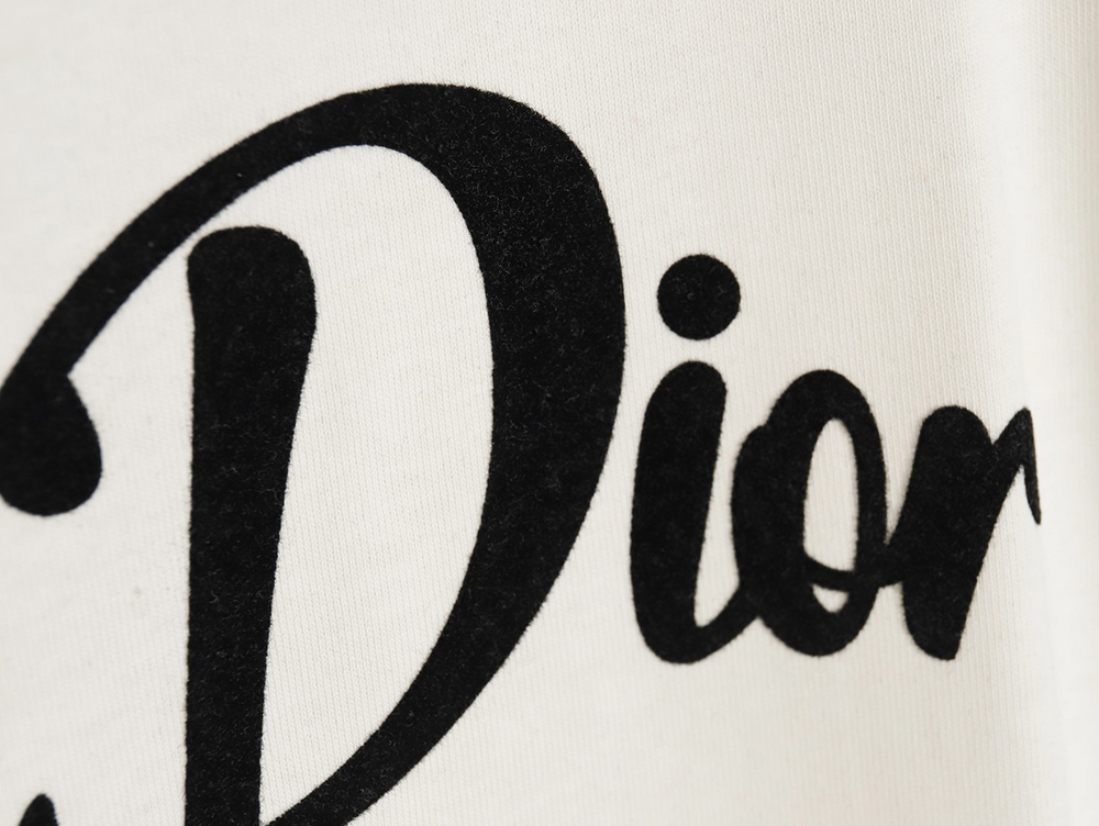Dior 24SS logo pattern embroidered flocked letter T-shirt