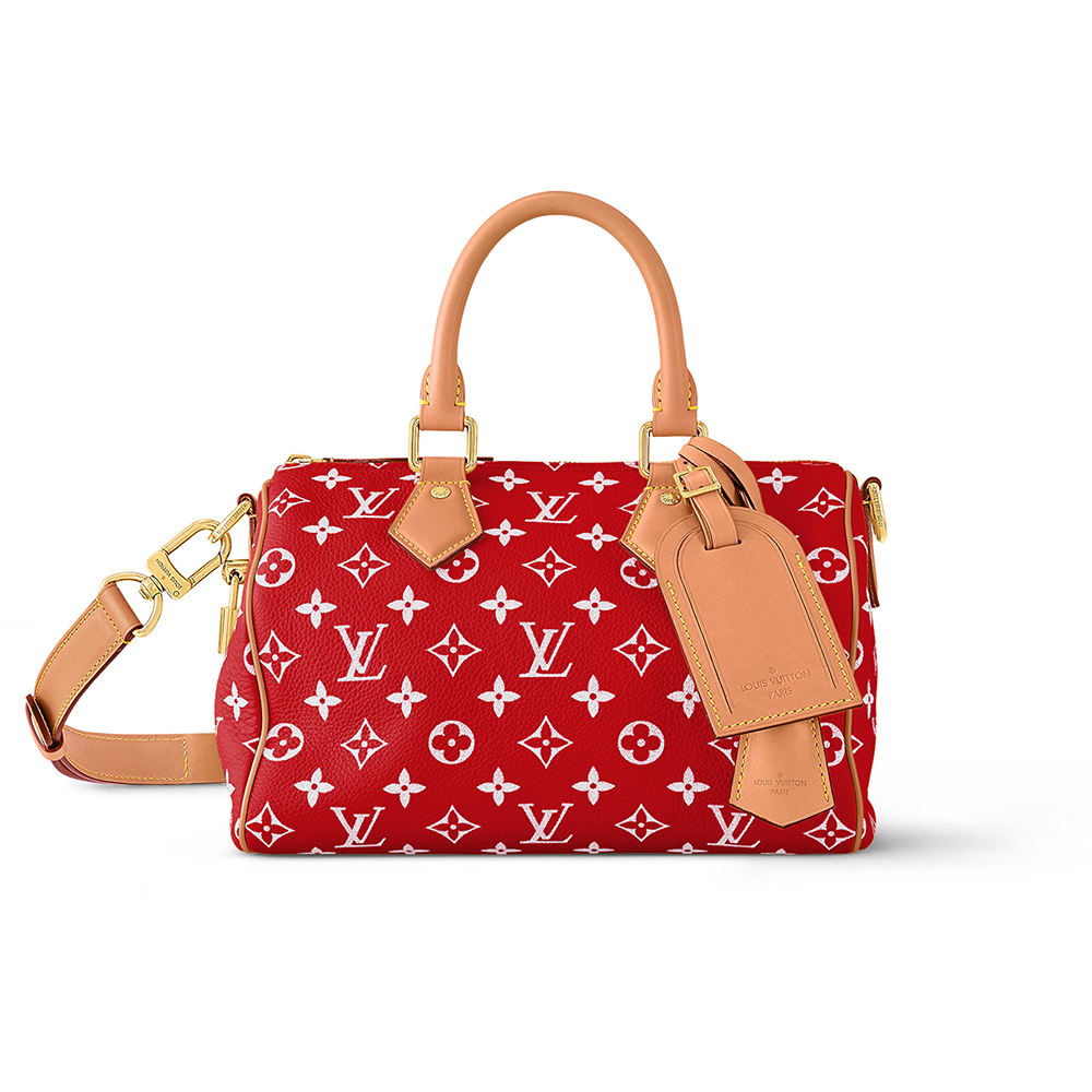 Louis Vuitton Bags M24425 25*15*15cm