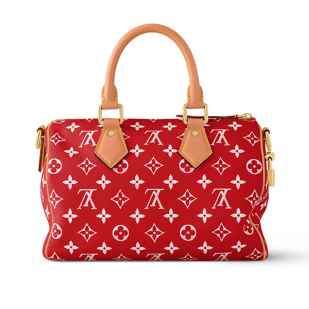 Louis Vuitton Bags M24425 25*15*15cm