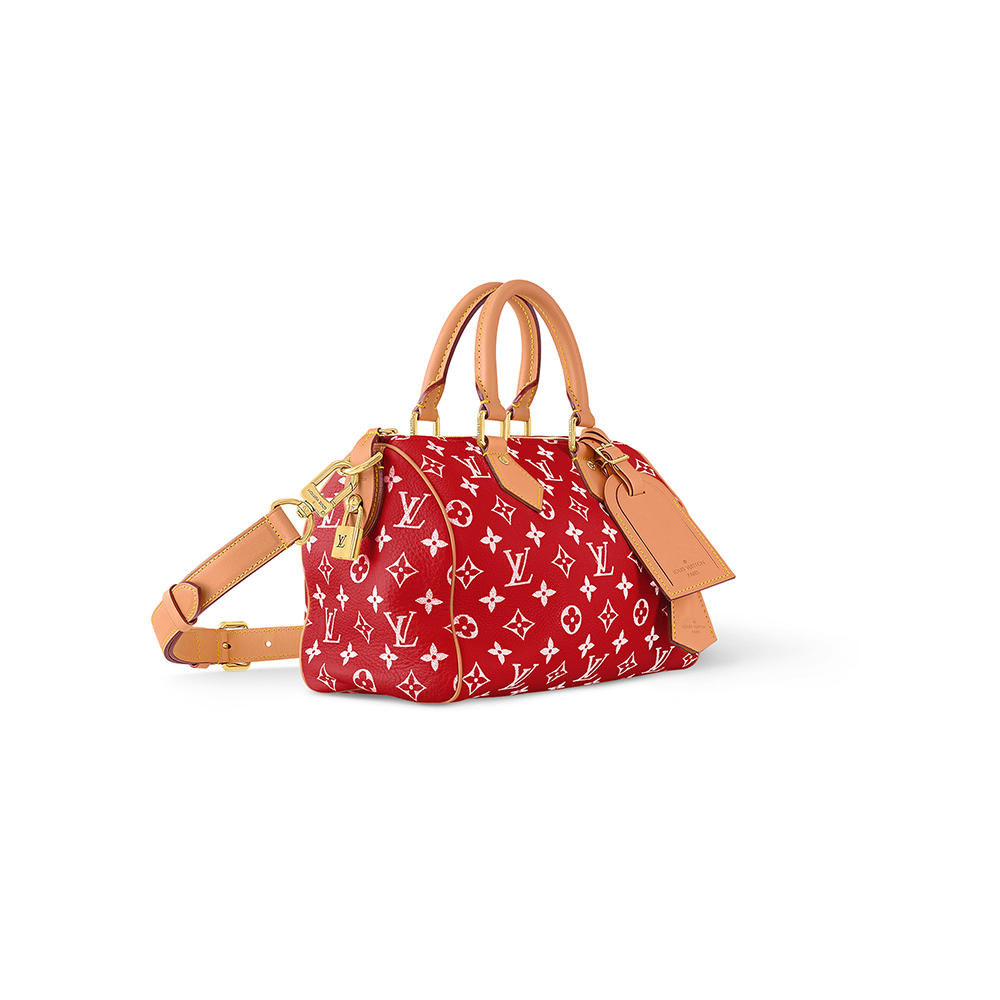 Louis Vuitton Bags M24425 25*15*15cm