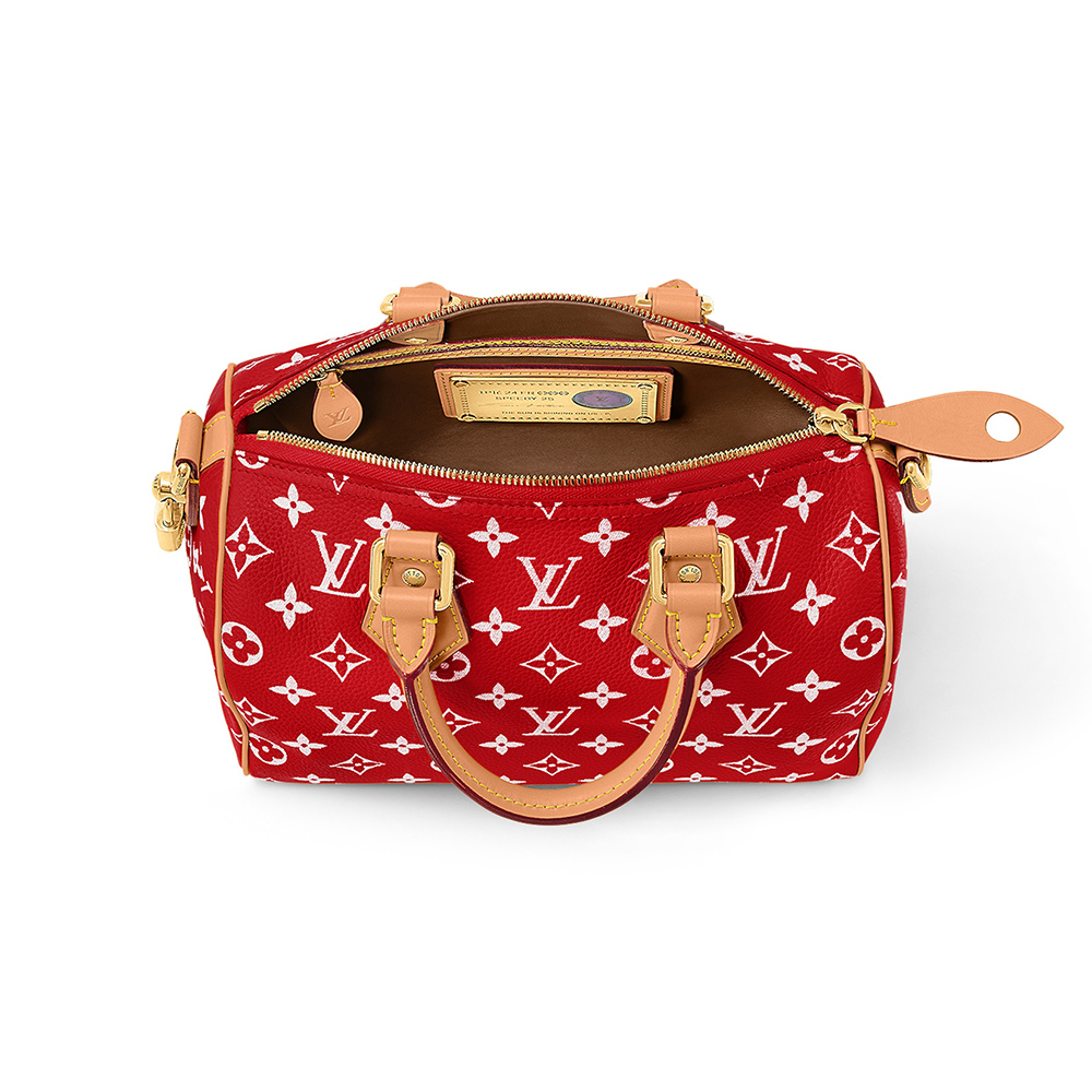 Louis Vuitton Bags M24425 25*15*15cm
