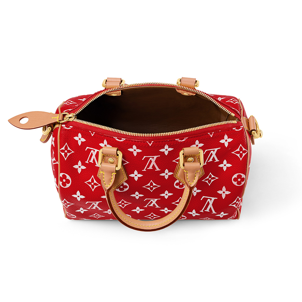 Louis Vuitton Bags M24425 25*15*15cm