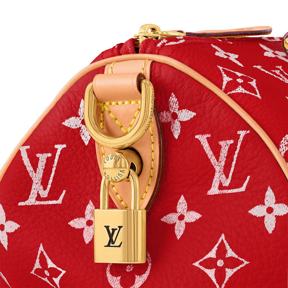 Louis Vuitton Bags M24425 25*15*15cm