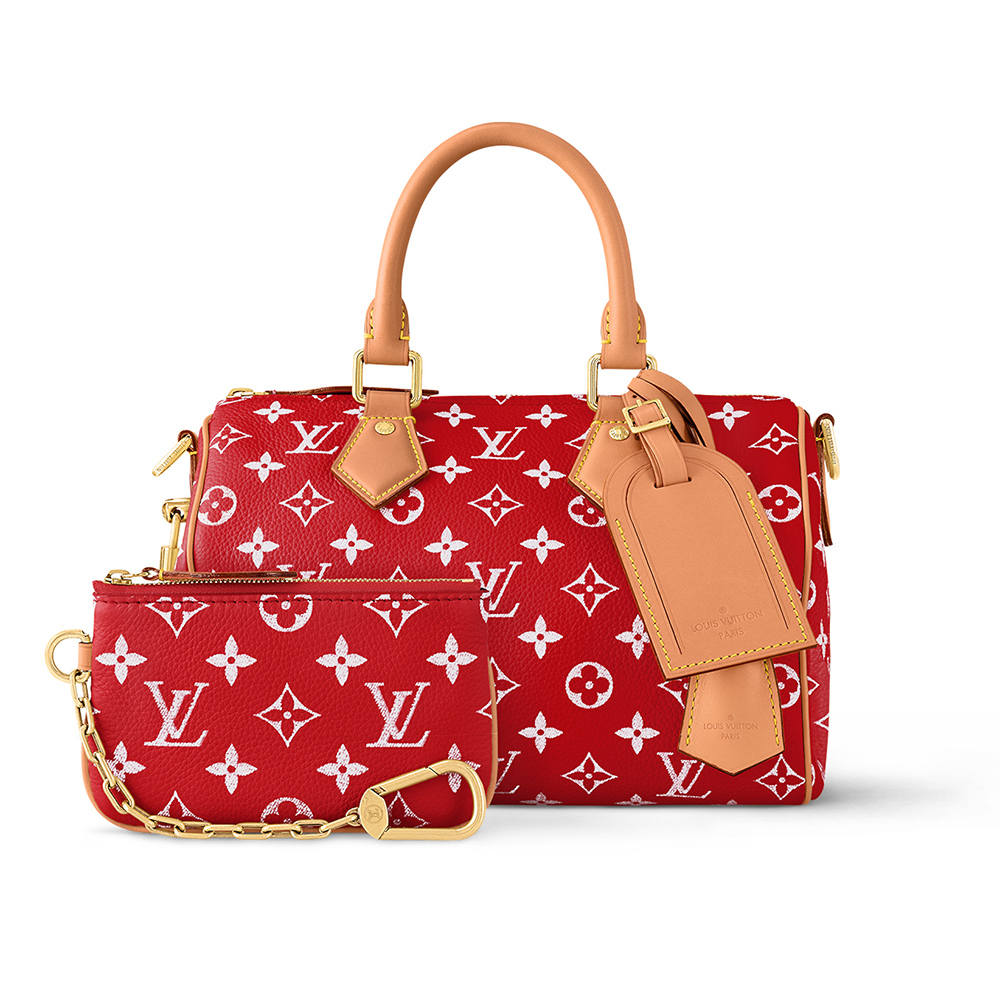 Louis Vuitton Bags M24425 25*15*15cm