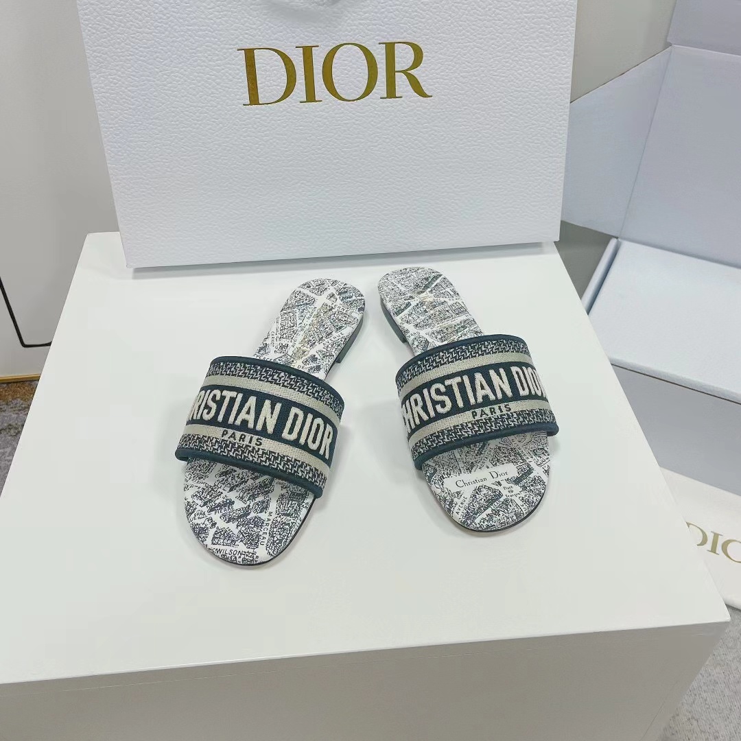 Christian Dior Dway Slide White and Navy Blue
