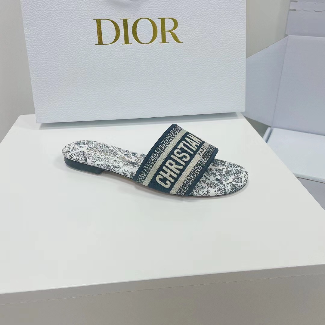 Christian Dior Dway Slide White and Navy Blue