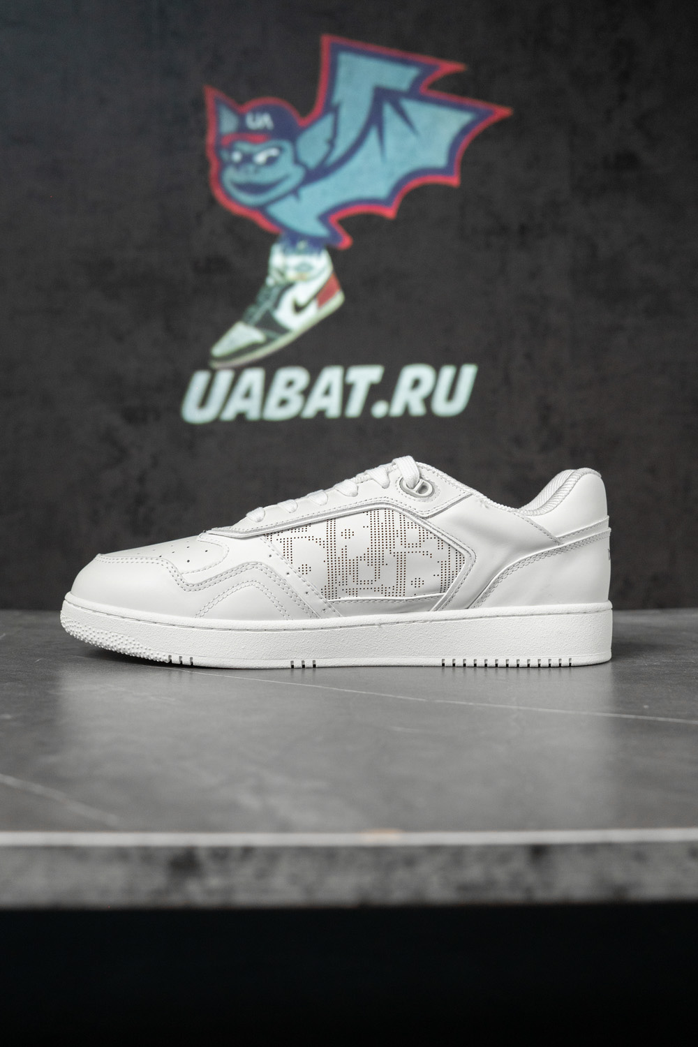 Dior B27 Low 
