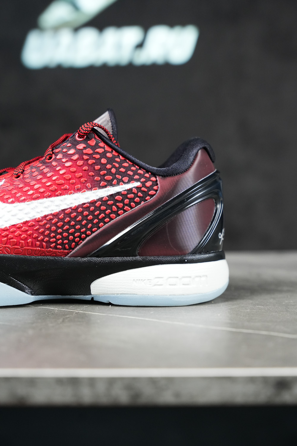 ZOOM KOBE 6 PROTRO 